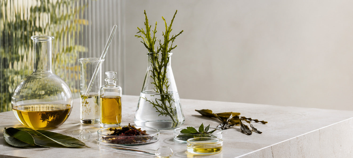 What Makes SATURA Different? 8 Reasons Our Hair, Scalp and Skin Treatments Stand Apart